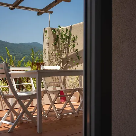 Bed & Breakfast La Casetta Di Ceci Vibonati